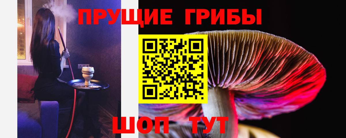 Псилоцибиновые грибы прущие грибы Егорьевск